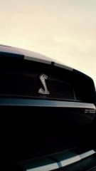 Beautiful Sports Car #Bronco Shelby #Bronco Shelby GT500 #Bronco GT