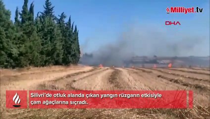 Bir kıvılcım yetti! Silivri'de alevler otluktan ormana sıçradı