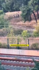 Otluk alanda ateş yakıp topuklamışlardı... Flaş gelişme!