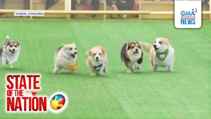Daan-daang Corgi, nagtipon para sa taunang Corgi Race at fashion show | SONA