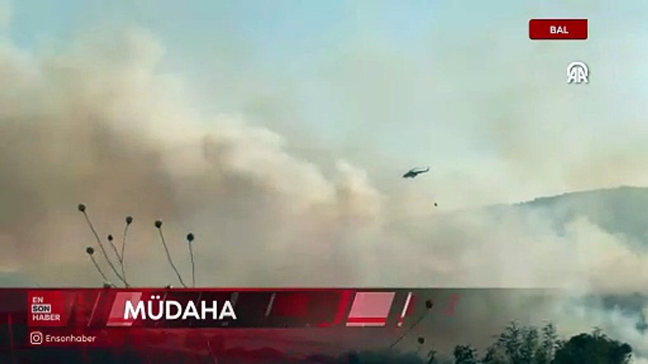 Balıkesir'de orman yangını çıktı: Uçak ve helikopterle müdahale ediliyor