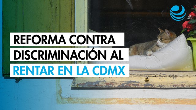 Avanza reforma contra la discriminación al rentar con hijos o mascotas en la CDMX