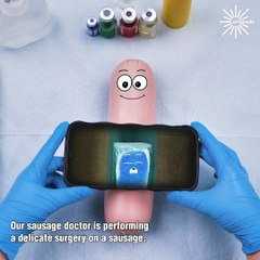 Emergency C-section, sausage gives birth to a nugget! 😯