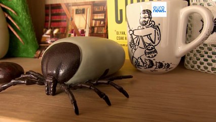 Nagyobb, gyorsabb és veszélyesebb kullancsokat hoz Magyarországra a klímaváltozás