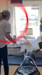 Cette femme et ce poney rendent visite à cette femme âgée de plus de 100 ans