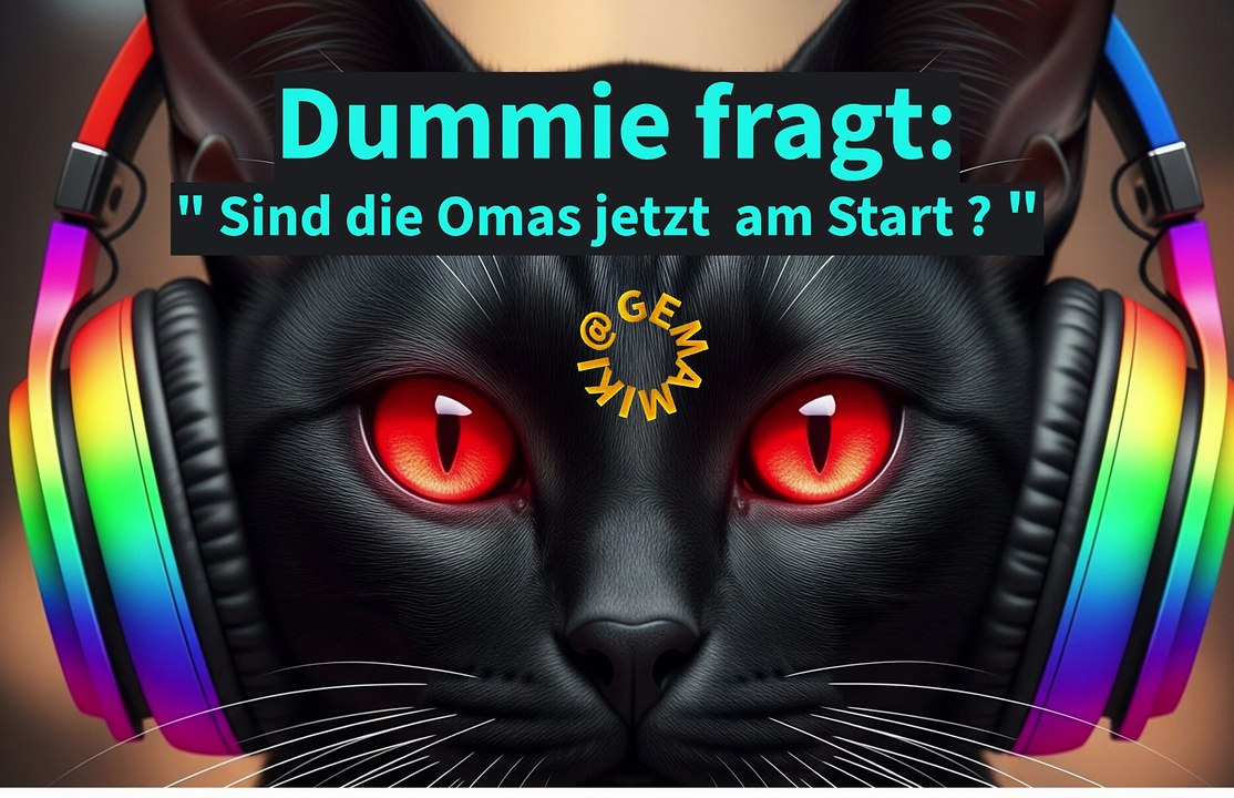 Dummie fragt-Mixsong 2025