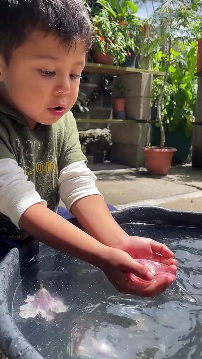 NIÑO CANTANDO A SU PATO