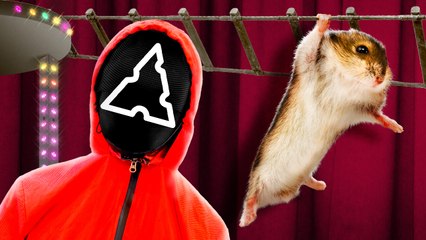 Squid Game And Hamsterious || The Hamster Needs Our Help! Funny Challenge By 123GO! School