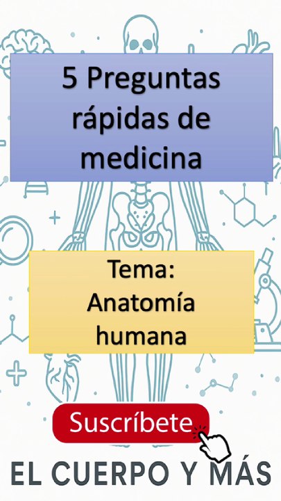 5 Preguntas rápidas de medicina - Tema: Anatomía humana Parte 4 #elcuerpoymas #medicina #salud #aprender