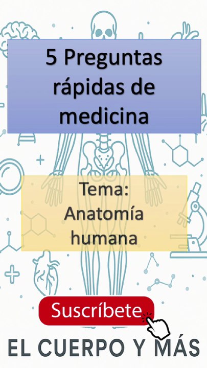 5 Preguntas rápidas de medicina - Tema: Anatomía humana Parte 5 #elcuerpoymas #medicina #salud #aprender
