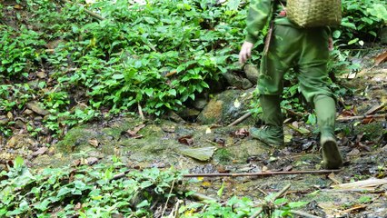 EP.488 - Refeição Selvagem Épica -  Pesca e Colheita de Mel na Selva