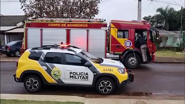 Cão pitbull destrói muro, invade lote e mata cachorro da vizinha
