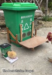 The Best Chicken Coops! 🐤🐔