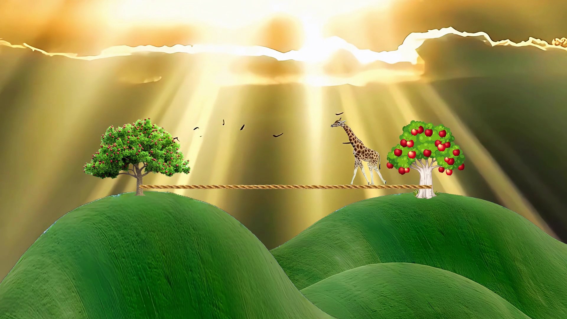 ⁣Animals Crossing the Valley