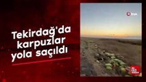 Tekirdağ’da israf tepkisi: Karpuzlar yola saçıldı