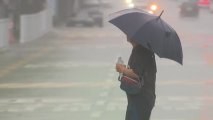 [날씨] 강원·전북 시간당 30mm↑ 호우...교통안전 유의 / YTN