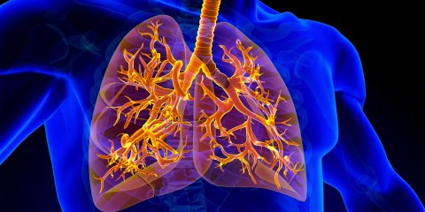 BỔ PHỔI LÀ GÌ? KHI NÀO CẦN THỰC HIỆN? THÔNG TIN TỪ DƯỢC BÌNH ĐÔNG