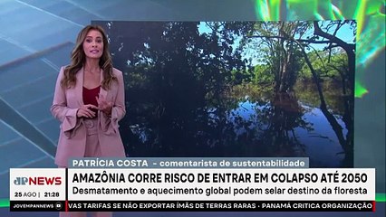 Amazônia corre risco de entrar em colapso até 2050 | JP SUSTENTÁVEL