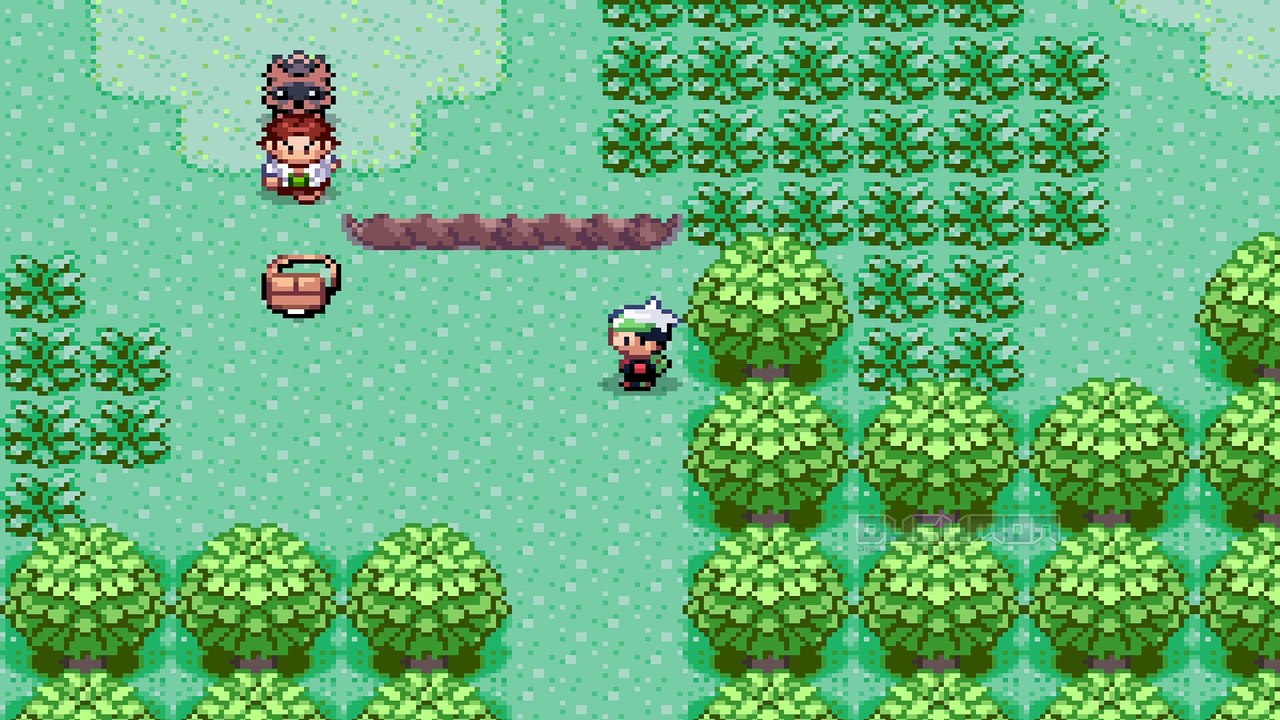 PokeSouls - Soulslike GBA ROM Hack, money to gain experience. If you lose, all money will be lost