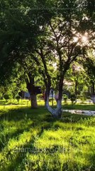 Heiress Reborn Her Wrath Knows No Mercy