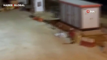 Yurt dışından getirilirken kaçan angusun denize balıklama atladığı anlar şaşırttı