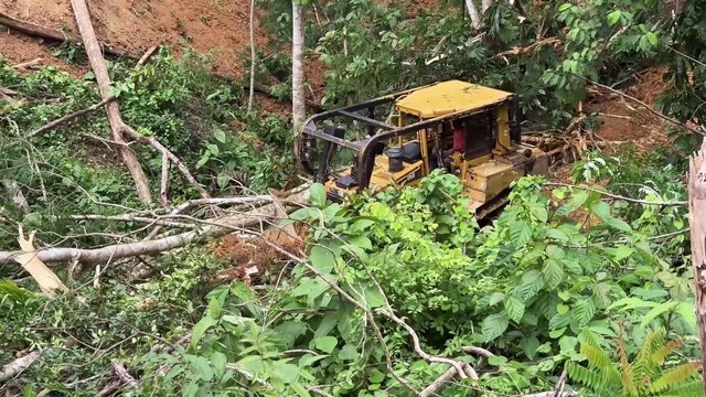Bulldozer D6R XL Quick Steps to Open Palm Terraces in Plantations