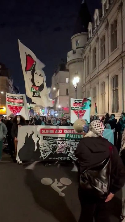 La justice avait fait sauter l'interdiction de la marche féministe qui s'est déroulée cette nuit à Paris, marquée par des appels à l'Intifada et appelant à un soulèvement pro-palestinien