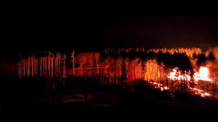 BAMBI: THE RECKONING Official Trailer 2 (2025)