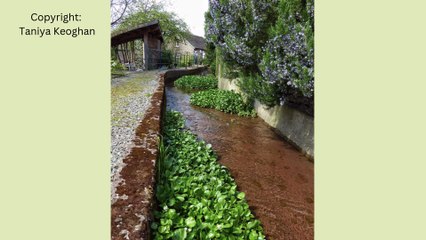 Picture This: Leading lines in Brecon & Radnorshire