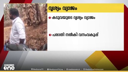 കടുവയെ കണ്ടെന്ന് വ്യാജ അവകാശ വാദം ഉന്നയിച്ച യുവാവിനെതിരെ പൊലീസിൽ പരാതി നൽകി വനംവകുപ്പ്