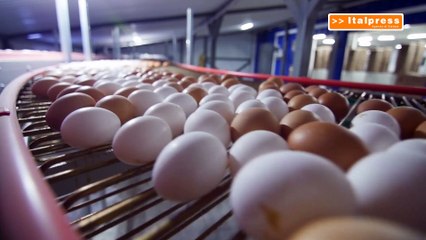 Raddoppiano i prezzi di burro e uova