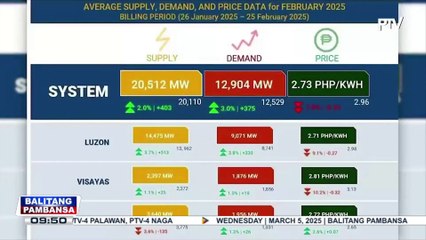 Increased power supply drives down February WESM prices