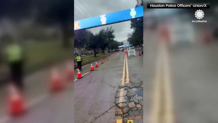 Loose cow barrels down Houston road