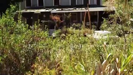 Toxina peligrosa película completa en latino