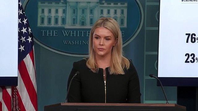 Trump press secretary defends Musk’s clothes after Zelensky mocked for not wearing suit