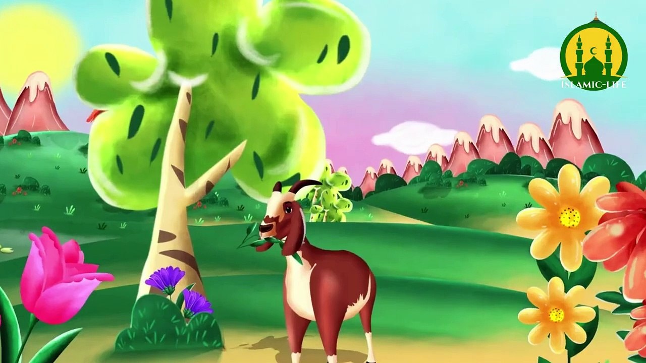Kids Cartoons