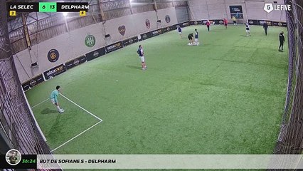 But de Sofiane S - Delpharm