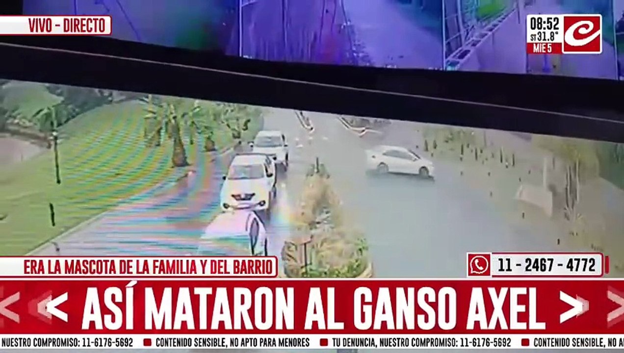 Ganso