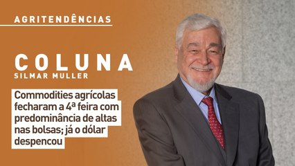 Commodities agrícolas fecharam a 4ª feira com predominância de altas; já o dólar despencou