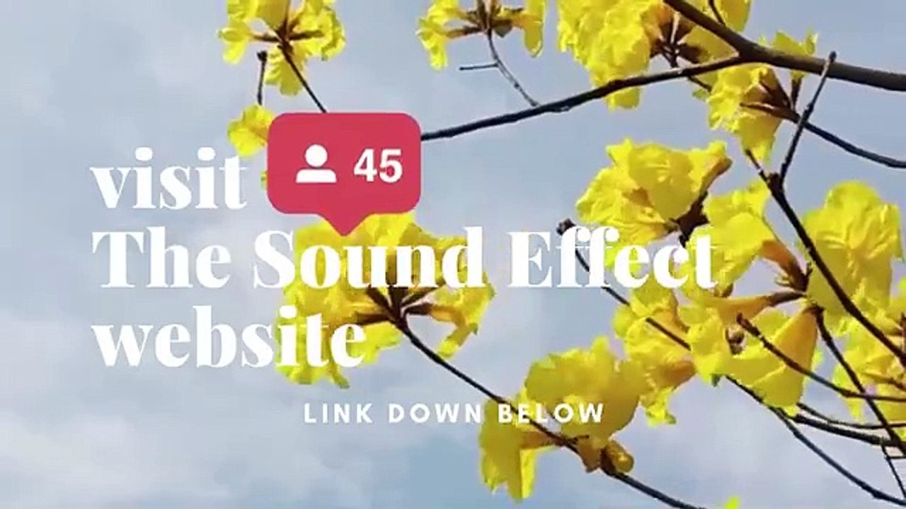 Scenic Sounds| Episode: 3 | Just the Breeze