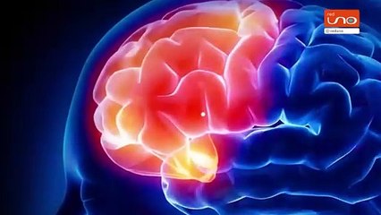 ¿Sabías que hacer ejercicio nos puede hacer más inteligentes?