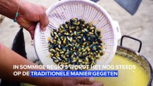 Avontuurlijke hapjes: Blauwe mais