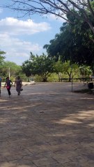 Zoológico "Animaya" en Mérida, Yucatán, México.