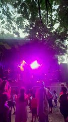 Orchestre Clin d'Oeil  Célébrons la Fête Nationale Française en Musique #music #musica #show (35)