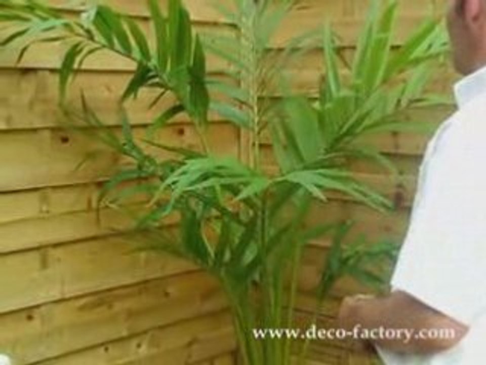 Palmier kentia artificiel Deco Factory