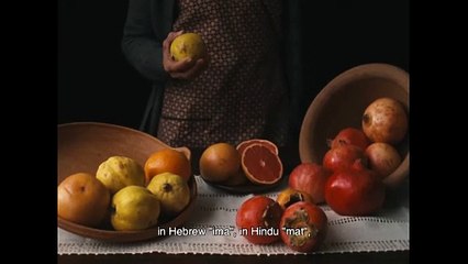 A Metamorfose dos Pássaros | movie | 2021 | Official Trailer