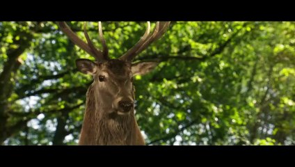 Bambi: Uma Aventura na Floresta | movie | 2025 | Official Teaser