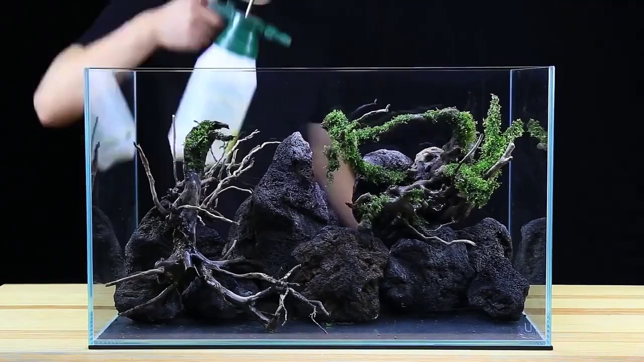Aquarium