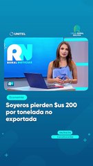 Soyeros pierden $us 200 por tonelada no exportada