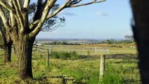 Biddeston Downs, Biddeston, Qld | March 6, 2025 | Farmonline